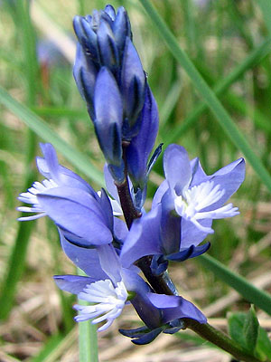 Pots anar a la seva pgina