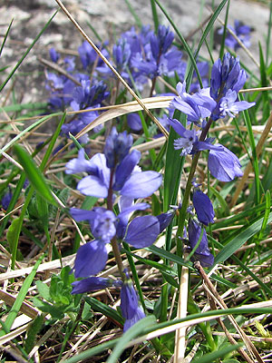 Pots anar a la seva pgina