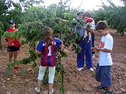 Vam canviar la muntanya pels camps, a treballar