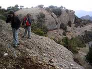 Cingleres i baumes miris on miris