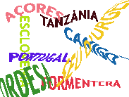 Algunes de les nostres vacances