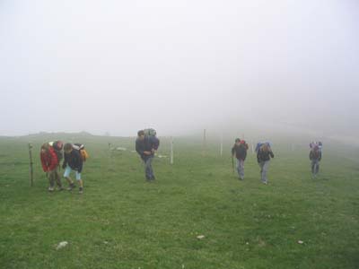 bBoira d'anada i tornada